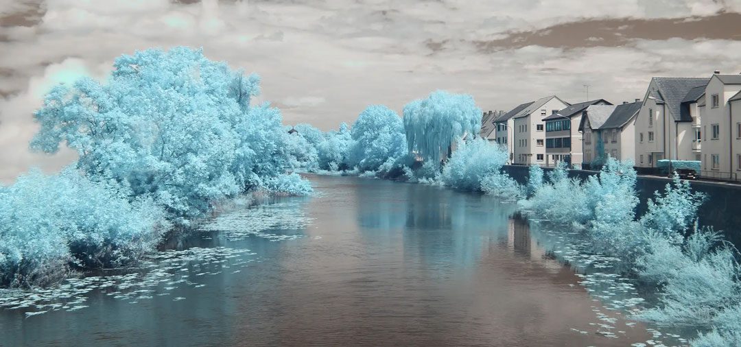 Sigrid-Johns-Infrarotfotografie-Kontaktseite