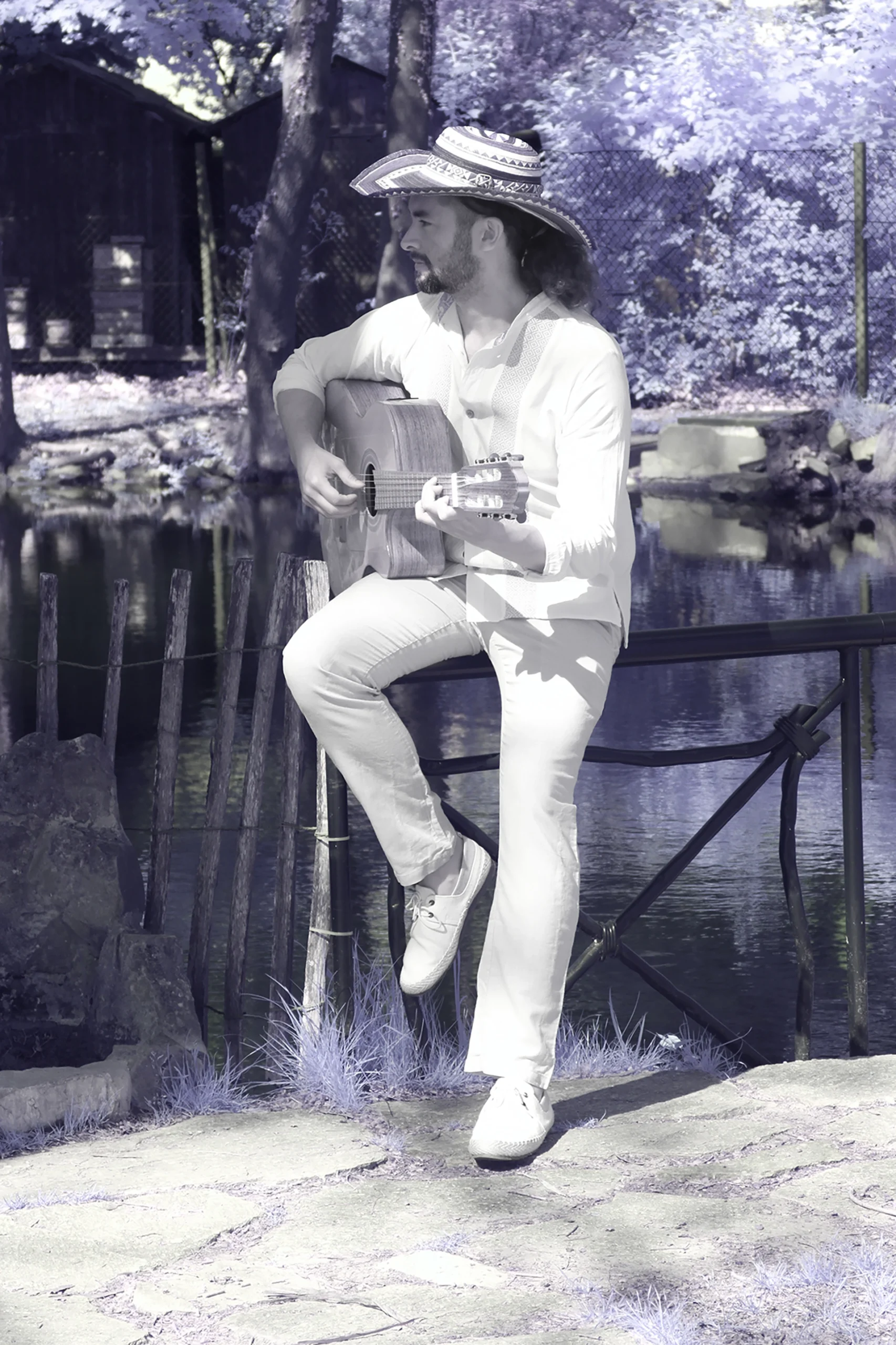 Diese_Melodie_©Sigrid_Johns_Seelenfotografie